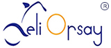 logo-Hebei Deli Orsay Technology Co.,LTD