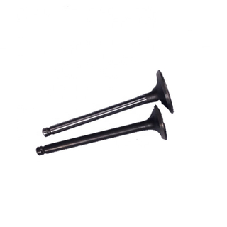 Stainless Steel SUPRA Motorcycle Engine Valve