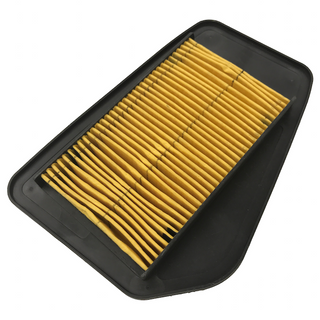 Motorcycle Part Air Filter for CPR 150